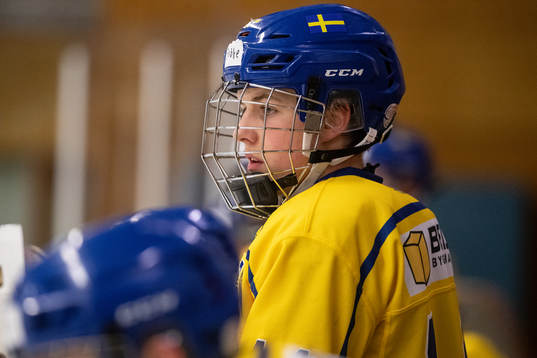 Sveriges Fabian Hellström
