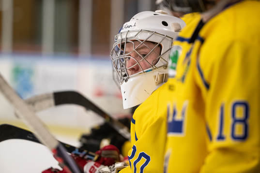Sveriges målvakt William Larsson
