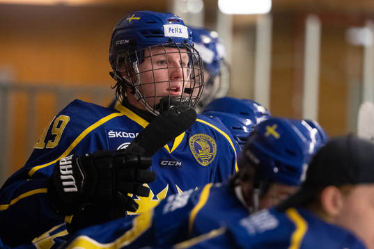 Sveriges Felix Jansson