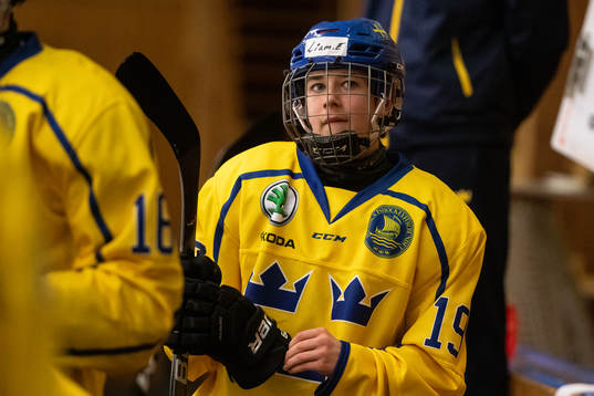 Sveriges Liam Engström