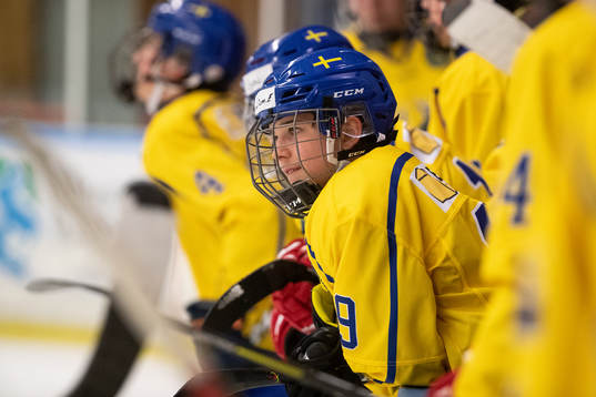 Sveriges Liam Engström
