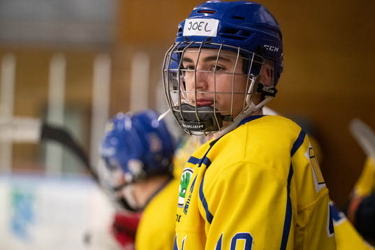 Sveriges Joel Kant