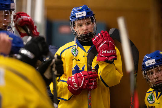 Sveriges Jakob Norén