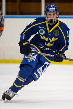 Sveriges Alexander Suzdalev