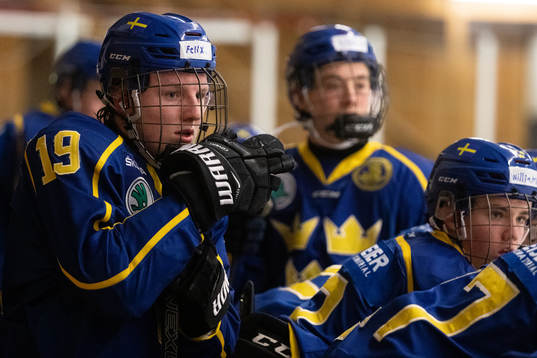Sveriges Felix Jansson