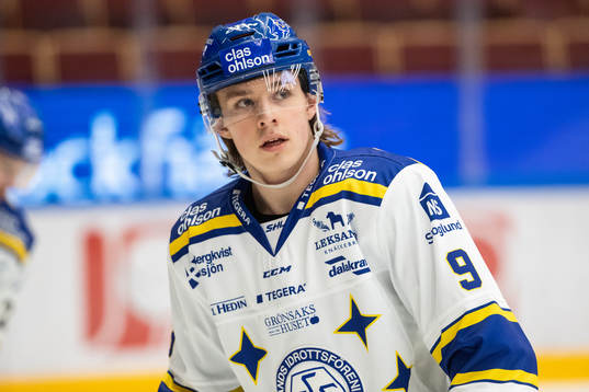 Leksands Marcus Karlberg