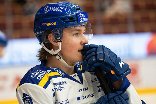 Leksands Marcus Karlberg
