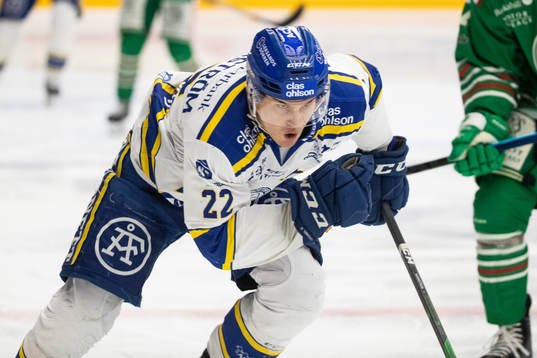 Leksands Sebastian Wännström