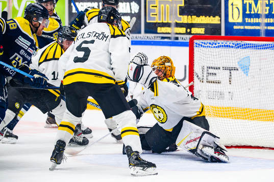 Brynäs målvakt Samuel Ersson