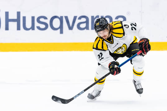 Brynäs Adam Brodecki