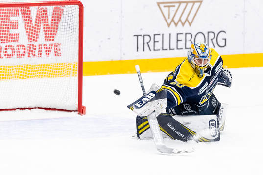 s målvakt Hugo Alnefelt