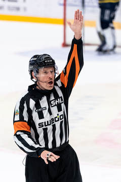 Domare Patric Bjälkander