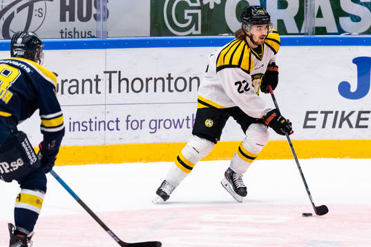 Brynäs Adam Brodecki