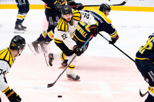 Brynäs Adam Brodecki