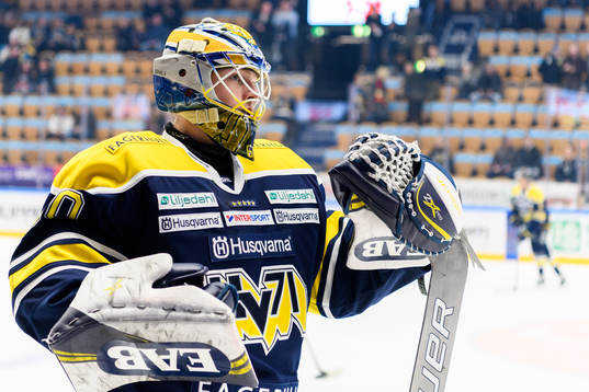 s målvakt Hugo Alnefelt