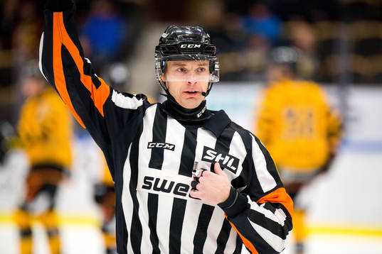 Domare Mikael Andersson