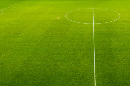 Quality of the grass at Brann Stadion