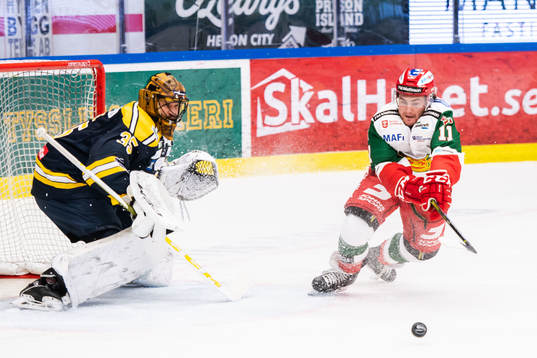 Södertäljes målvakt Justin Pogge och Moras Brendan