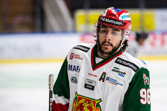 Moras Niki Petti