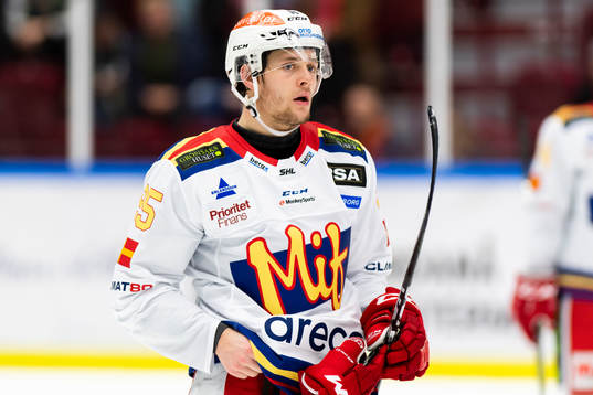 Malmö Redhawks Carl Persson deppar