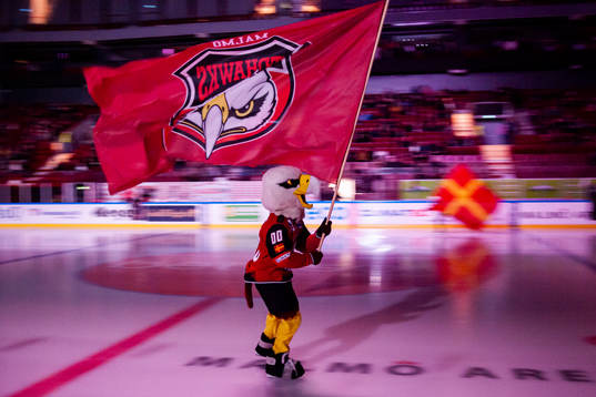 Malmö Redhawks maskot