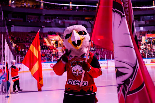 Malmö Redhawks maskot