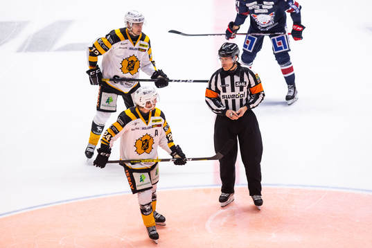 Domare Tobias Björk