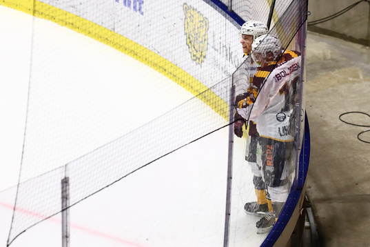 Skellefteås Rickard Hugg jublar med Linus Lindström