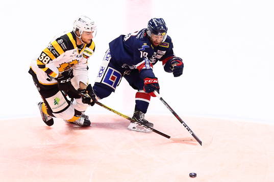 Skellefteås Jacob Olofsson och Linköpings Joe Whitney