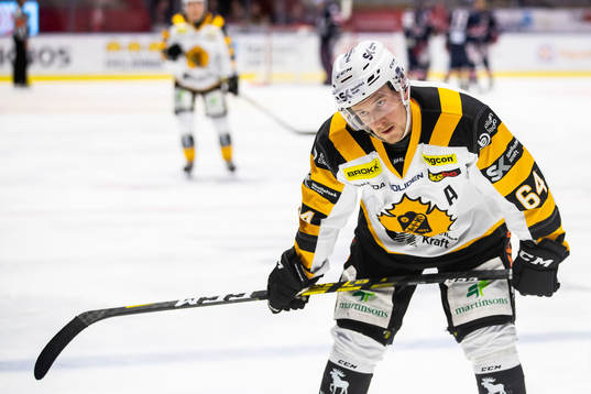 Skellefteås Jonathan Pudas deppar