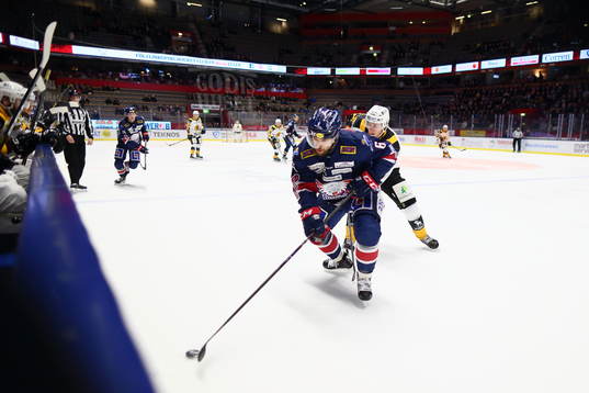Linköpings Jonas Holös
