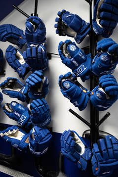 Leksands handskar