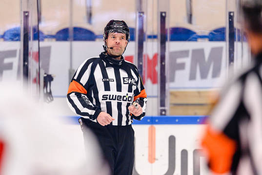 Domare Patrik Sjöberg