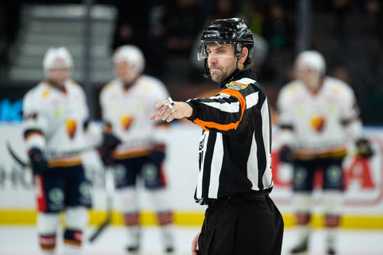 Domare Mikael Sjöqvist