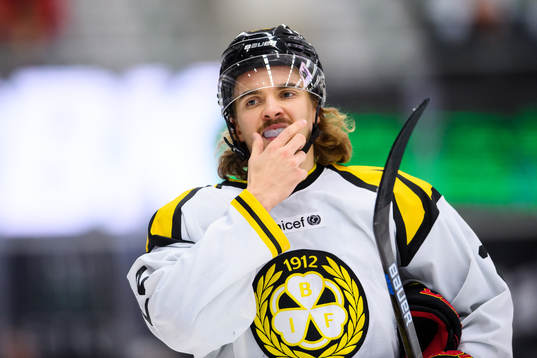 Brynäs Adam Brodecki