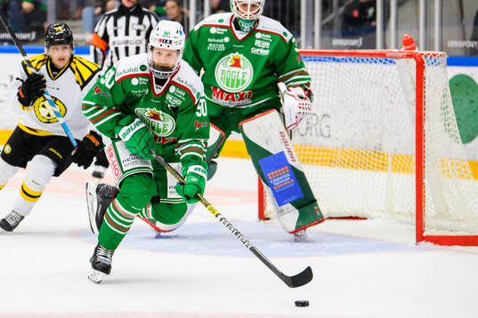 Rögles Ted Brithén