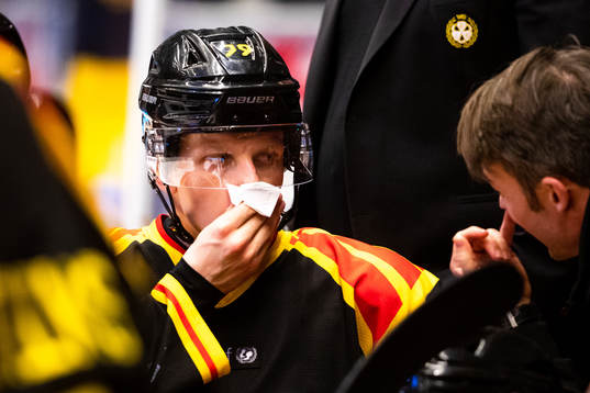 Brynäs Daniel Mannberg