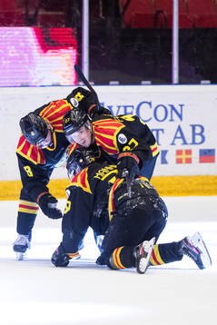 Brynäs Emil Forslund jublar