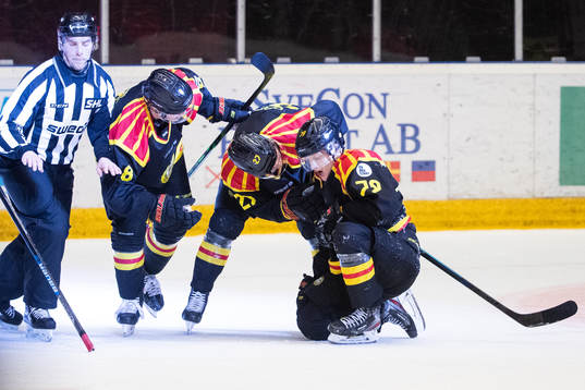 Brynäs Emil Forslund jublar