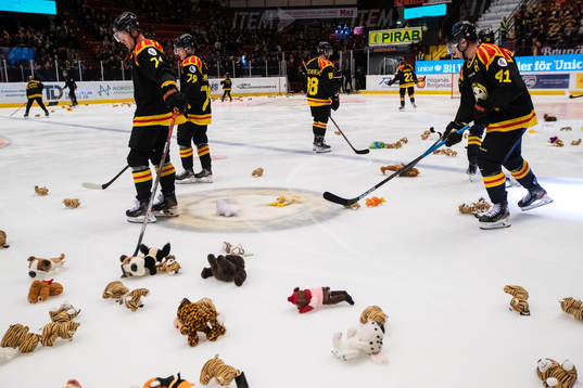 Brynäs spelarna samlar in nallar