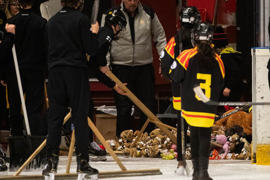 Insamling av inkastade nallar