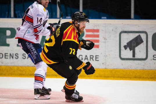 Brynäs Joachim Rodin