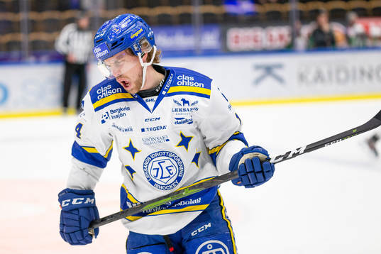 Leksands Oskar Lang