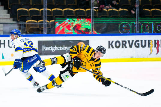 Leksands Fredrik Forsberg och Skellefteås Philip Broberg