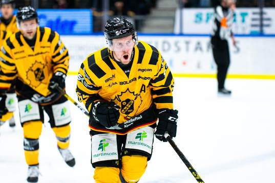 Bläddra bland fler bilder av Ishockey, SHL, Skellefteå - Leksand