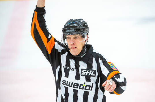Domare Morgan Johansson