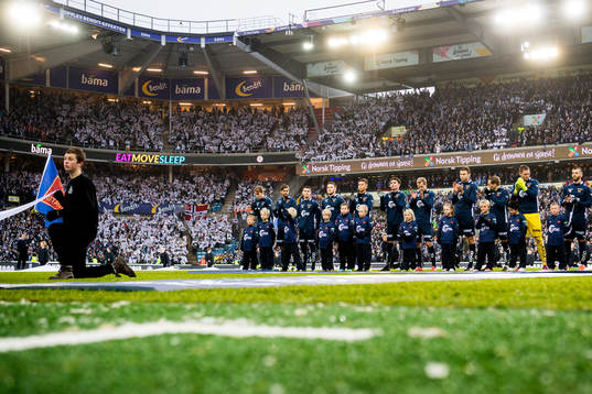 The players of Viking