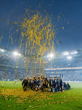 Players of Viking celebrate