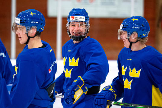 Alexander Holtz of Sweden