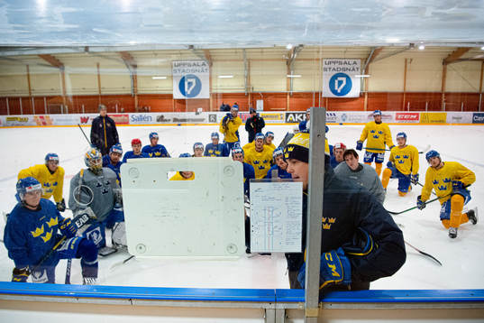 Head coach Tomas Montén of Sweden